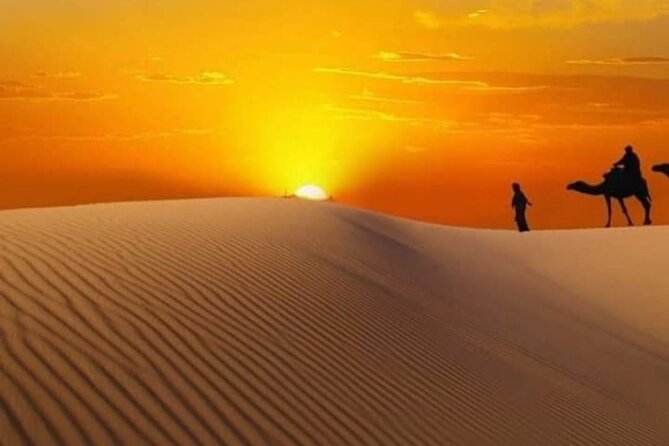 Private Watching Sunrise in the Desert - Early Morning Tour - Who will enjoy this private Oman day tour