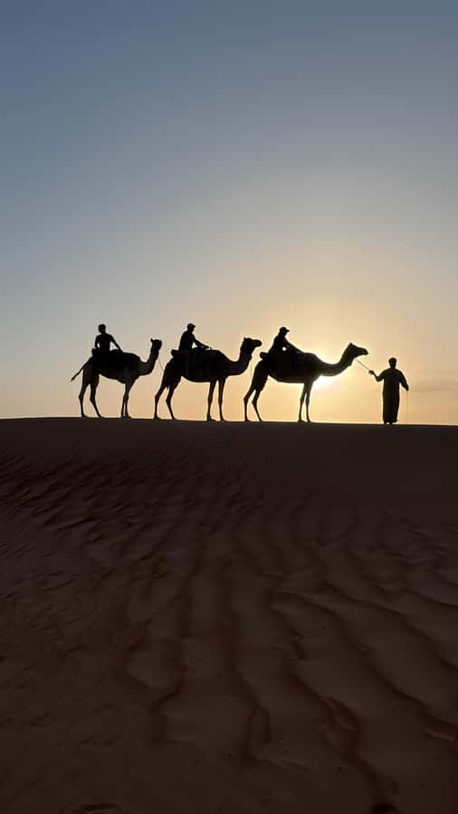 Safari World Zoo and Wahiba Sands with Sunset - Key points to know before you book