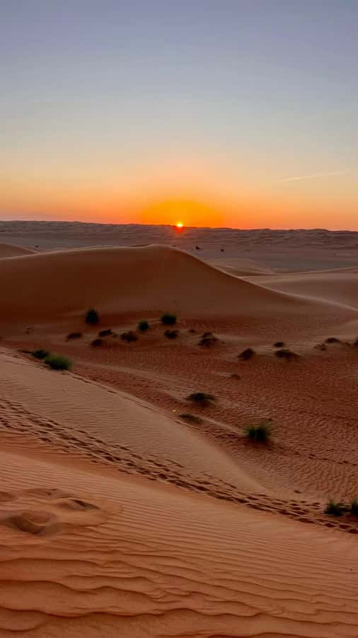 Safari World Zoo and Wahiba Sands with Sunset - Guides make the difference