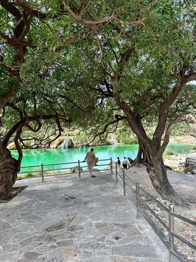 Salalah a combination of East and West tour - Wadi Derbat and Dhofar’s greener side