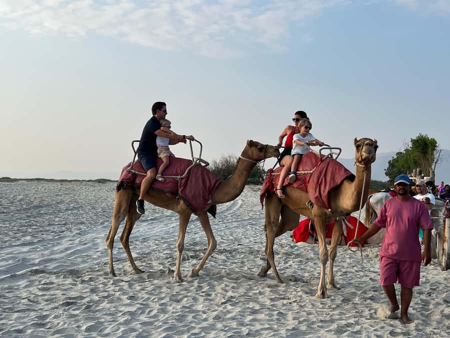 Salalah: Camel Riding on the Beach - A Sunset Ride Along Salalah’s Long Beach