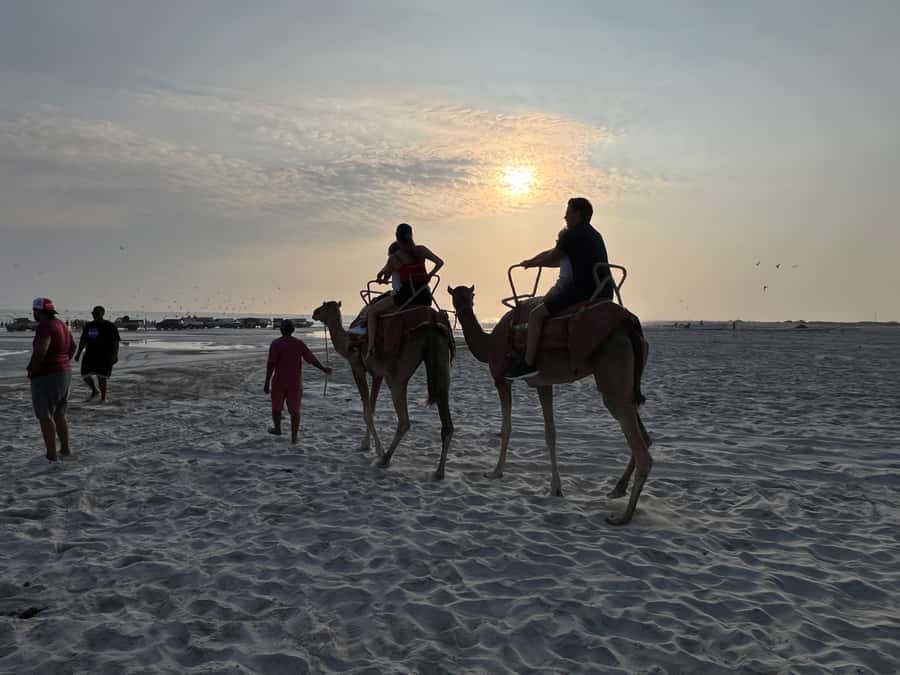 Salalah: Camel Riding on the Beach - Finding the Camels at the Beach Club