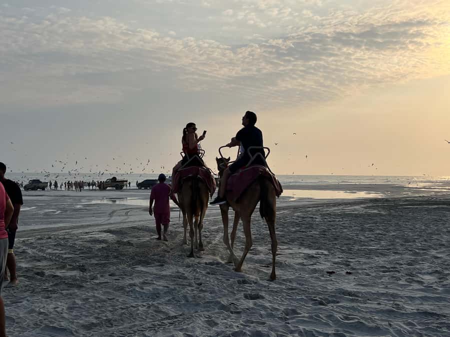 Salalah: Camel Riding on the Beach - The Sunset Is the Real Payoff