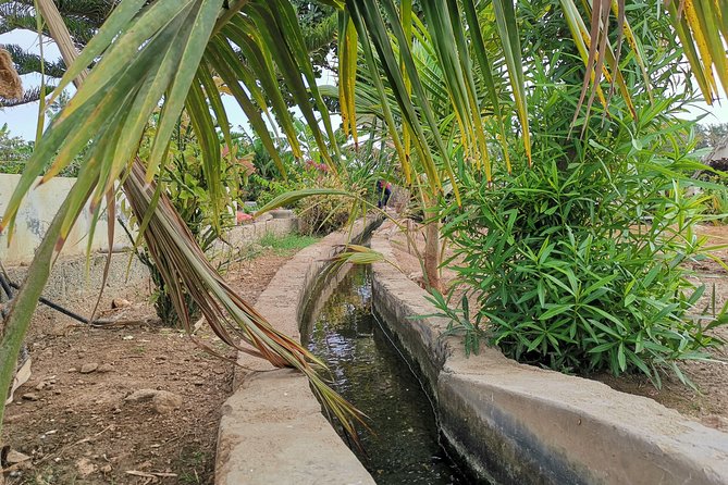 Salalah City private tour - all-inclusive sightseeing tour - Al Baleed and the Museum of the Frankincense Land