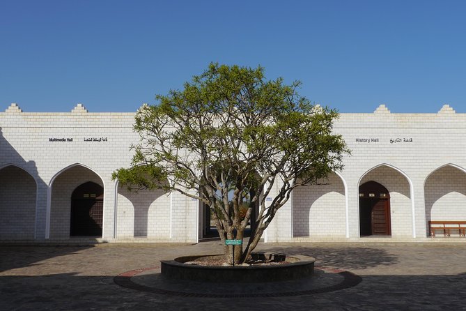 Salalah City private tour - all-inclusive sightseeing tour - Sultan Qaboos Mosque and Nabi Umran’s shrine
