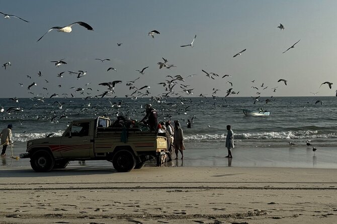Salalah City Tour: Discover Salalahs Treasures with a Local Guide - Coconut Beach and the Al Hafa Waterfront