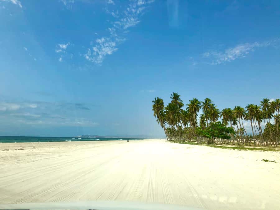 Salalah City Tour: Discover the Best of Oman’s Coastal Gem - Palace gates and the public face of Oman