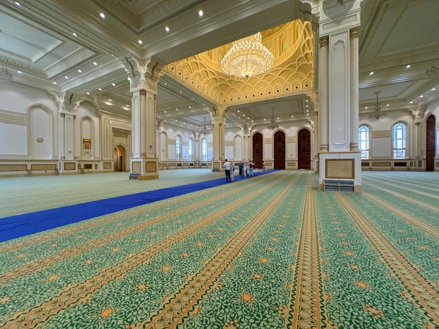 Salalah City Tour: Discover the Best of Oman’s Coastal Gem - Who should book this Salalah tour?