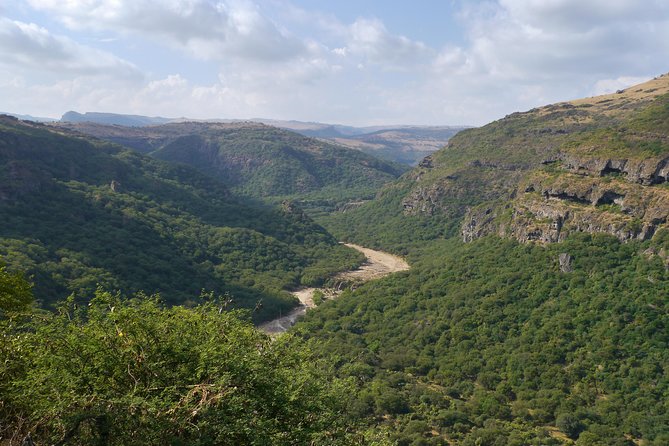 Salalah City Tour + West Coast Combo (Mughsail beach, blowholes) - Al-Haffa’s palms, fruit, and irrigation channels