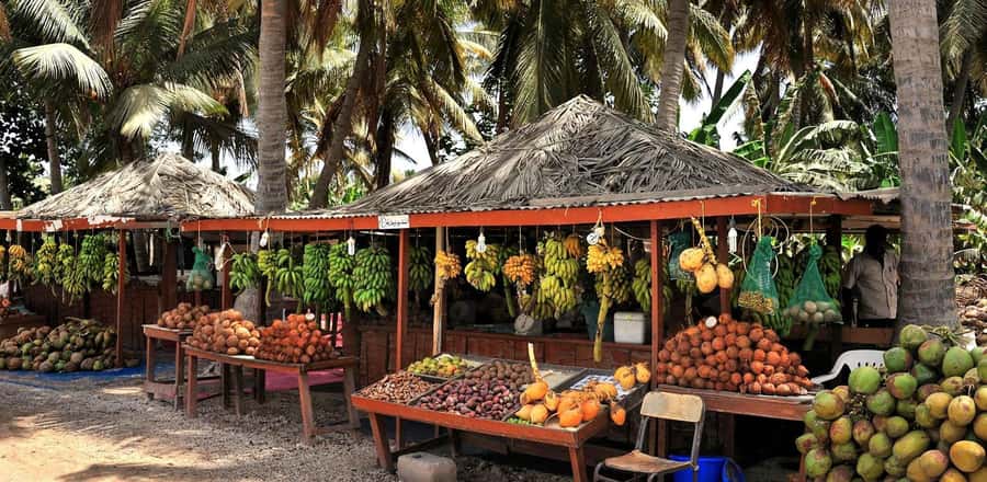 Salalah City Tours - Key points to know before booking