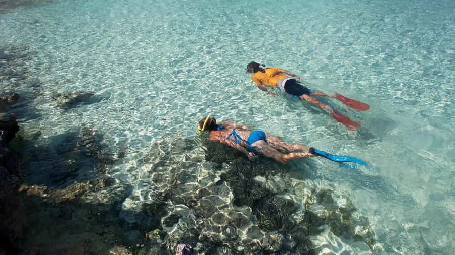 Salalah: Discover Mirbat's Snorkeling Paradise Guided Tour - What to bring and how to prepare