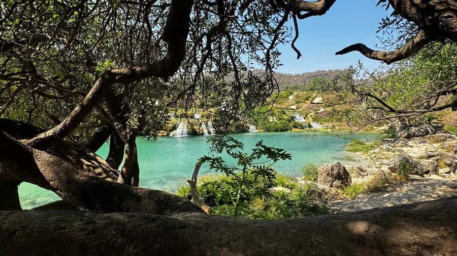 Salalah East Adventure: Waterfalls, Mountain & Safari - The mountain road doubles as a casual safari