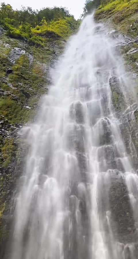 Salalah: Half-Day Guided Tour to Wadi Darbat & Mount Samhan - Wadi Darbat changes with the season