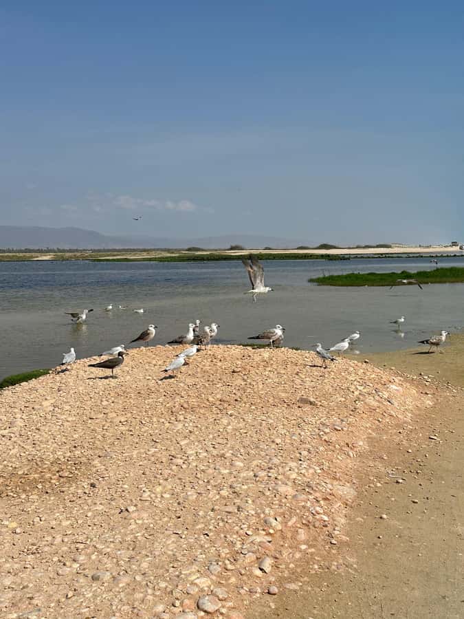 Salalah: Half-Day Guided Tour to Wadi Darbat & Mount Samhan - Mount Samhan gives you the widest view