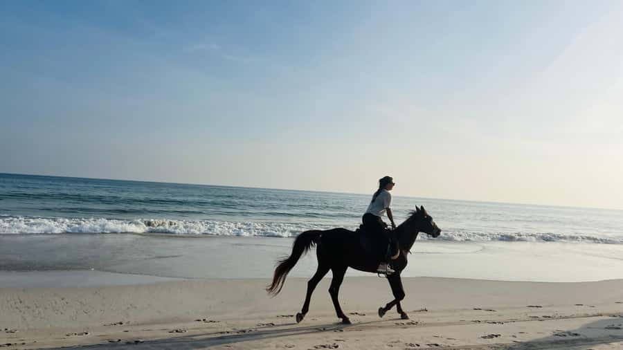 Salalah: Horse Riding by the Beach - Key points before you book