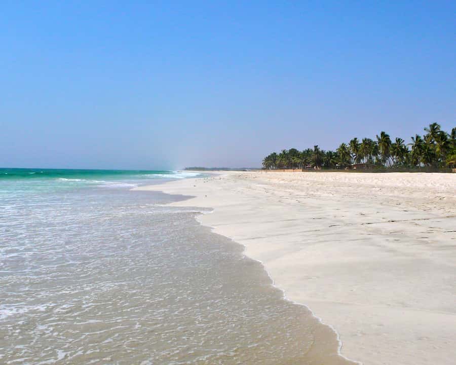 Salalah: Horse Riding by the Beach - Riding the Salalah coast at sunset