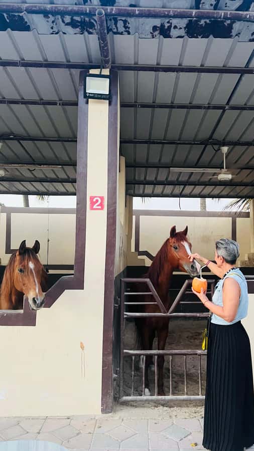 Salalah: Horse Riding by the Beach - Why the small group matters