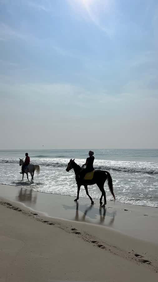 Salalah: Horse Riding by the Beach - Arabian horses, ponies, and rider ability
