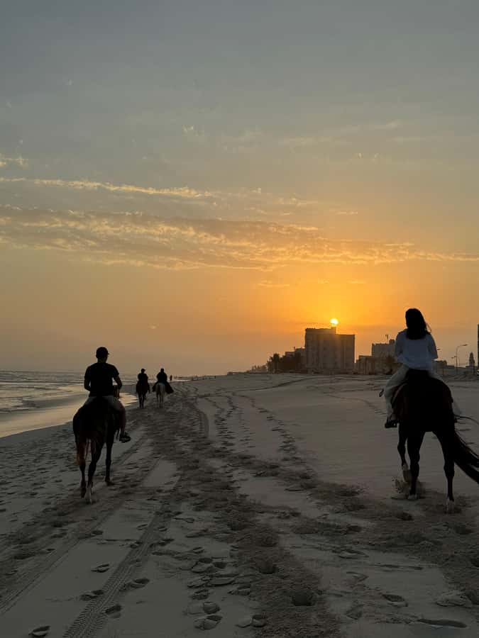 Salalah: Horse Riding by the Beach - Who will enjoy this beach ride most