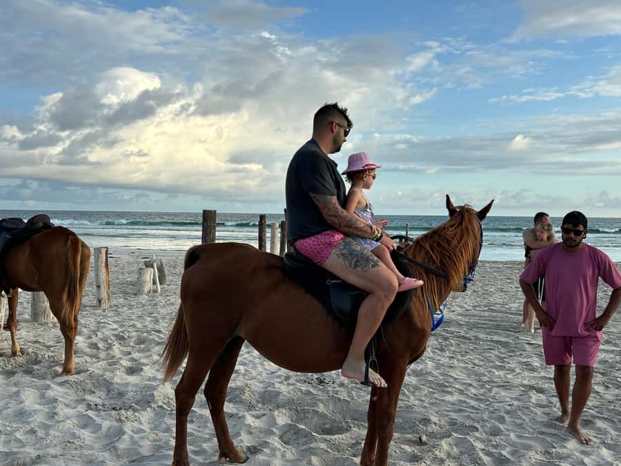 Salalah Horse Riding on the Beach optional Hotel Pick & Drop - Why a Salalah beach ride works so well at sunset