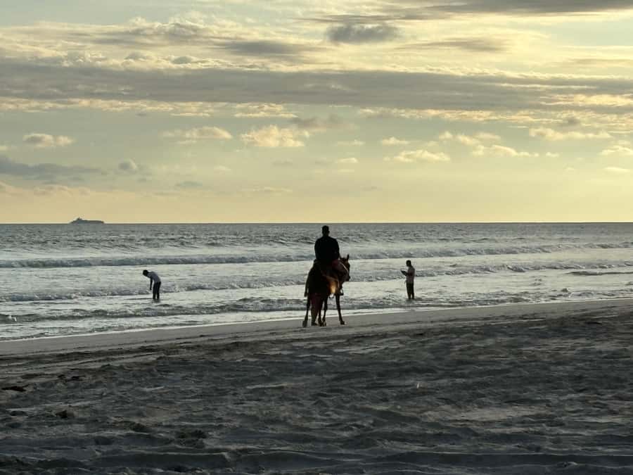 Salalah Horse Riding on the Beach optional Hotel Pick & Drop - Choosing between 30 minutes and one hour