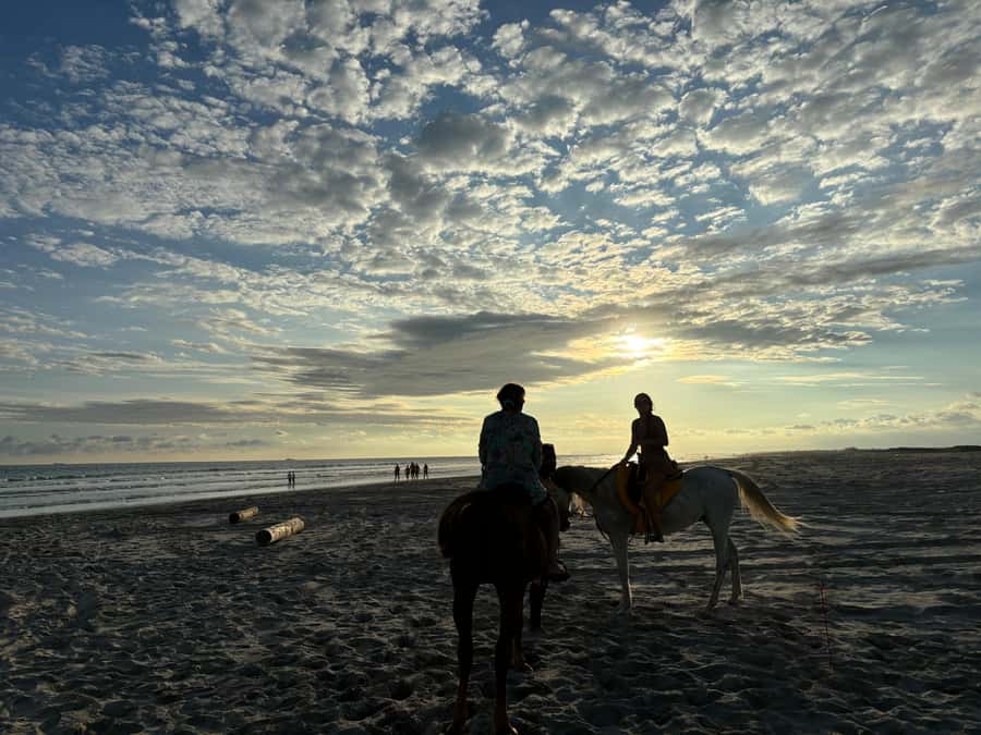 Salalah Horse Riding on the Beach optional Hotel Pick & Drop - Riding beside Salalah’s open shoreline