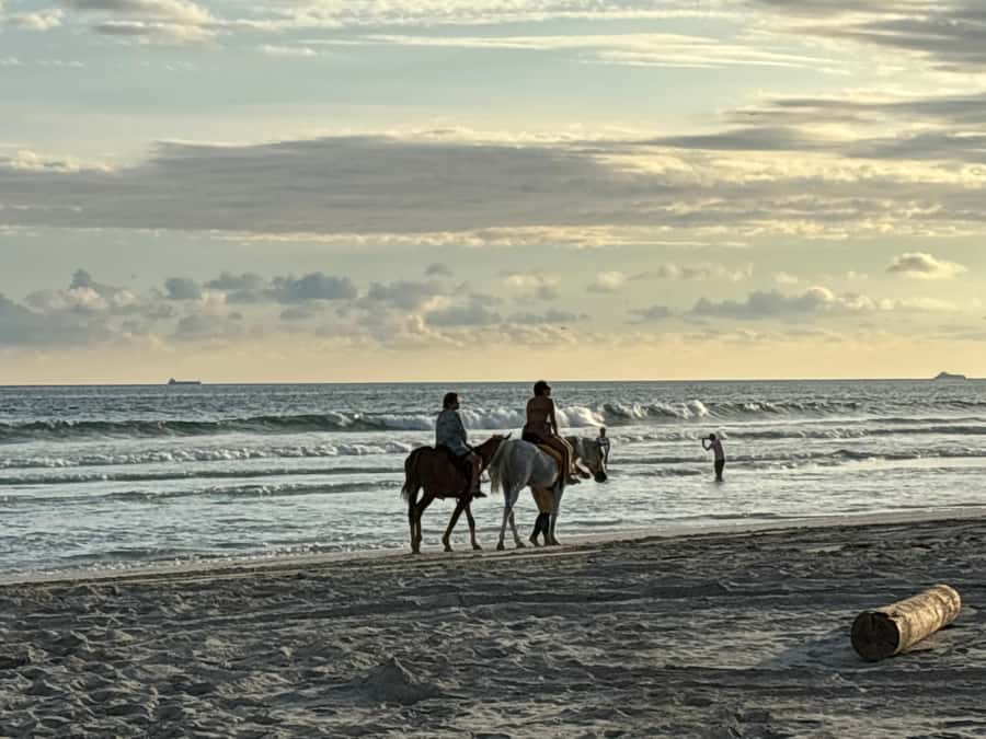 Salalah Horse Riding on the Beach optional Hotel Pick & Drop - What could make the outing less smooth
