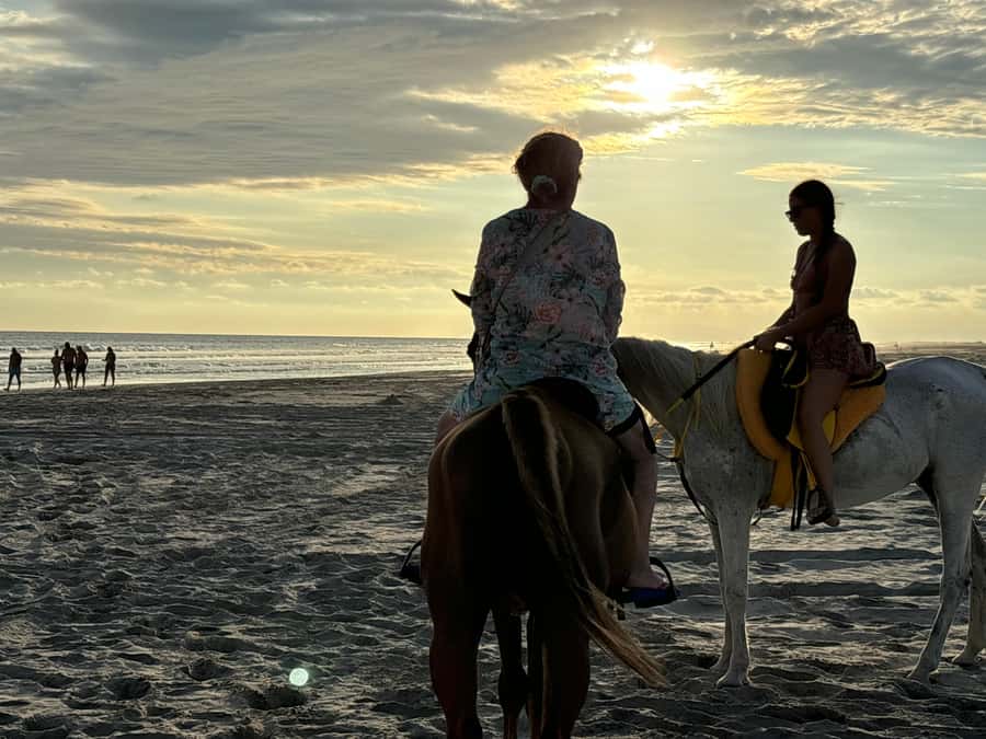Salalah Horse Riding on the Beach optional Hotel Pick & Drop - Should you book the Salalah beach horse ride?