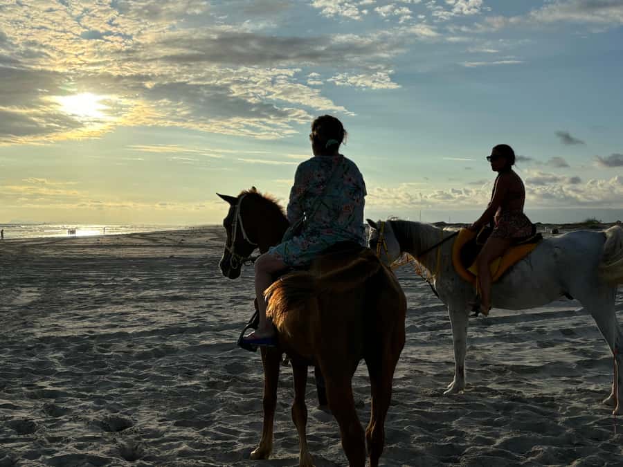 Salalah Horse Riding on the Beach optional Hotel Pick & Drop - Arriving at the beach club and finding the horses