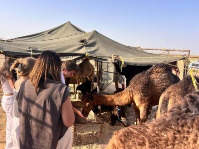 Sunset Desert Safari – Rub Al Khali – Empty Quarter