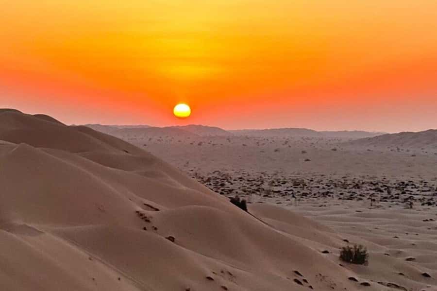 Salalah: Sunset desert safari tour in salalah(private tour) - Should You Book This Salalah Desert Safari?