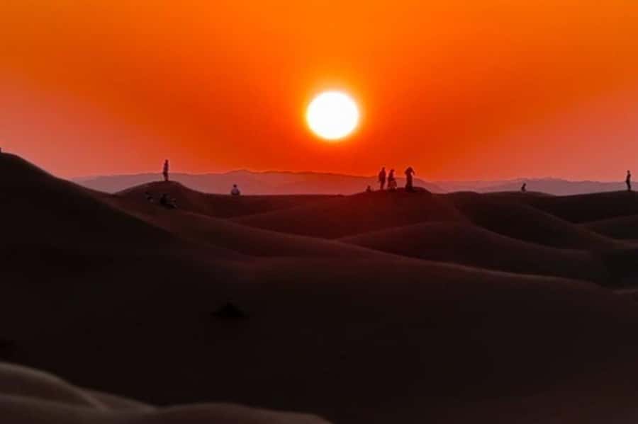 Salalah: Sunset desert safari tour in salalah(private tour) - Wadi Dawkha and the Trees Behind Oman’s Frankincense Trade