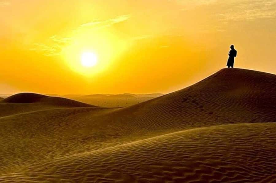 Salalah: Sunset desert safari tour in salalah(private tour) - Is the $90 Price Worth It?
