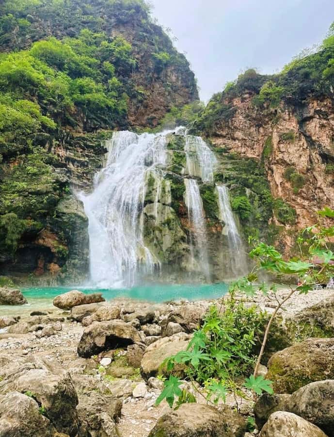 Salalah: Wadi Darbat, ,Teeq Cave - Baobou Trees Tour - Taqah Castle offers a quick history stop