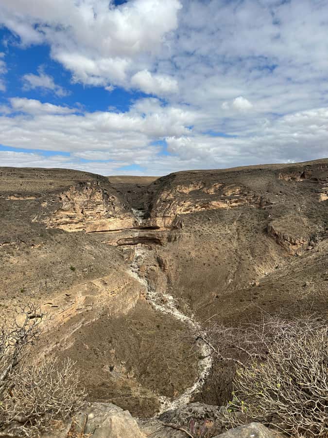 Salalah: Wadi Derbat, Jabal Samhan, & Sinkhole Private Tour - Taqah Castle gives the morning some context