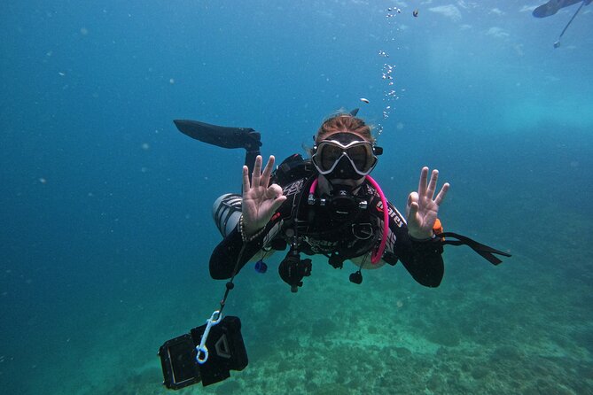 Scuba Diving Adventure in Musandam, Oman - Why Musandam makes a memorable underwater day