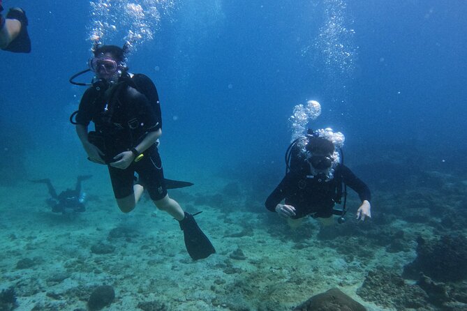 Scuba Diving Adventure in Musandam, Oman - Is the $153.52 price fair?