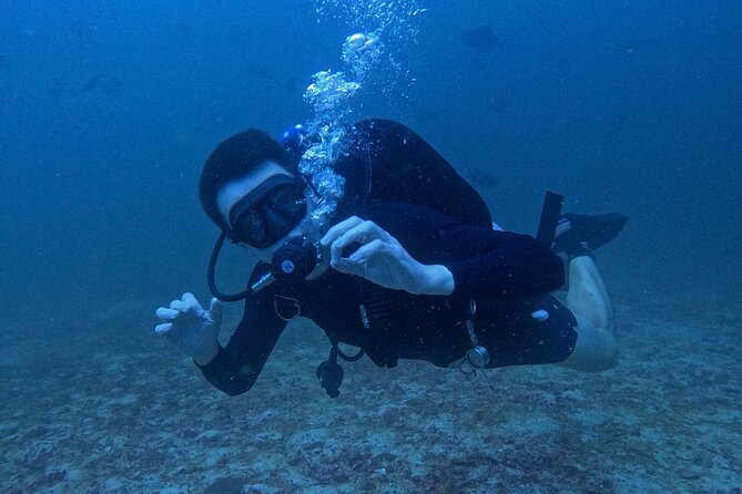 Scuba Diving Adventure in Musandam, Oman - Who will get the most from this outing