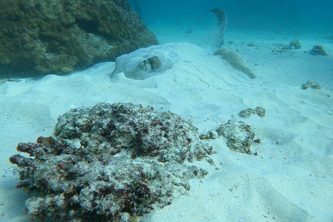 Scuba Diving in muscat - What the four-hour Muscat outing is really like