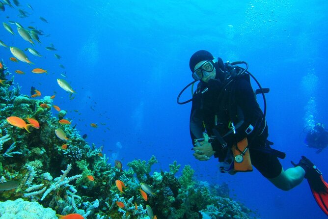 Scuba Diving to Dimaniyat Islands Muscat Oman - Reaching the Daymaniyat Islands from Seeb