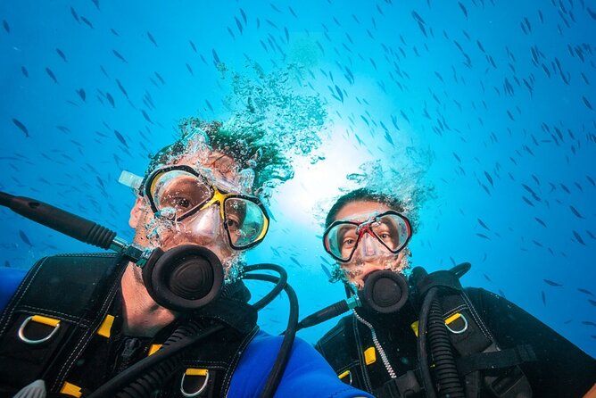 Scuba Diving to Dimaniyat Islands Muscat Oman - Weather, timing, and cancellation rules
