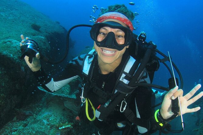 Scuba Diving to Dimaniyat Islands Muscat Oman - Underwater wildlife: turtles, eels, rays, and sharks