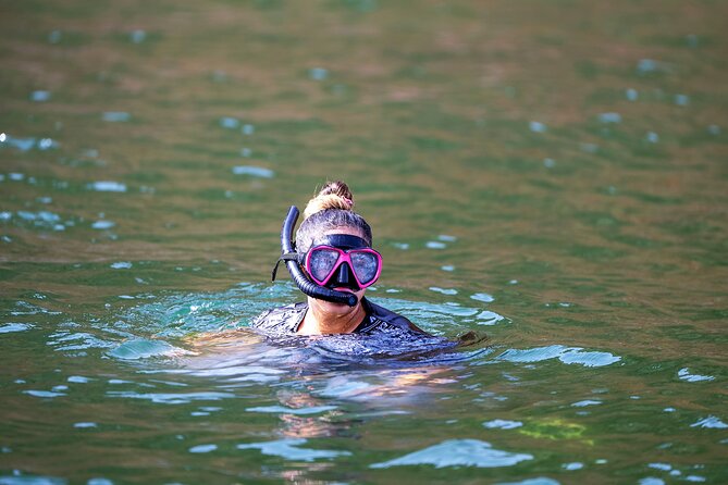 Sea Wonders Dolphin Watching and Snorkeling in Muscat - Snorkeling among coral and fish