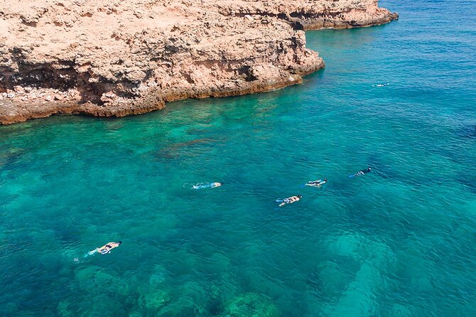 Snorkeling Adventure to Daymaniat Islands - A small group with clear limits