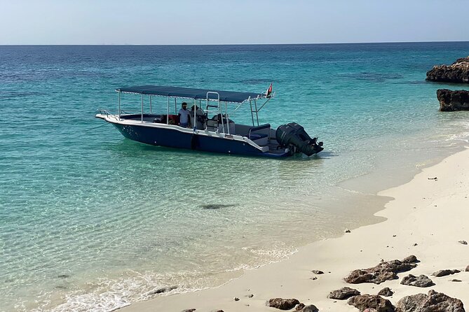 Snorkeling Adventure to Daymaniat Islands - Who should book this outing