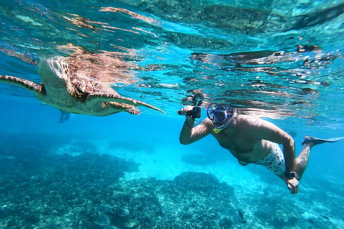 Snorkeling Adventure to Daymaniat Islands - The second site adds variety to the morning