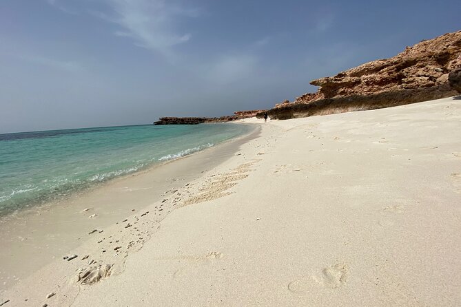 Snorkeling at Dimaniyat Islands and Dolphin Watching - Why the Dimaniyat Islands make a strong half-day outing
