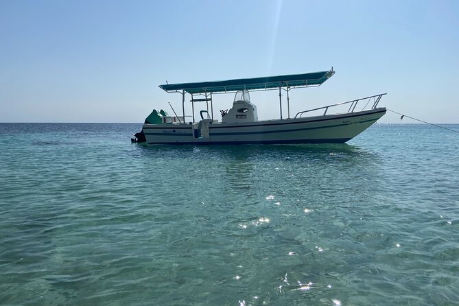 Snorkeling at Dimaniyat Islands and Dolphin Watching - The rare whale shark possibility