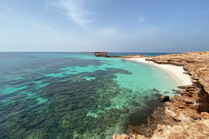 Snorkeling at Dimaniyat Islands and Dolphin Watching - A beach stop and time to slow down