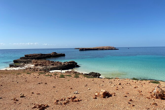 Snorkeling at Dimaniyat Islands and Dolphin Watching - Snacks, drinks, and what the $87 price covers